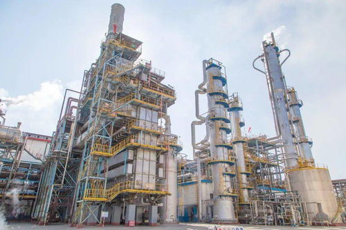 海藻酸尿素啟動試驗性生產(chǎn) 推動綠色農(nóng)業(yè)科技新突破